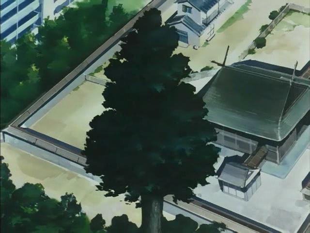 Otaku Gallery  / Anime e Manga / Inu-Yasha / Screen Shots / Episodi / 005 - Sesshomaru, il glaciale principe dei demoni / 066.jpg